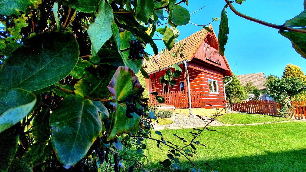 Roubenka Rozkos Villa Nove Mesto nad Metuji Ngoại thất bức ảnh